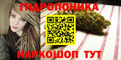 apvp Янаул
