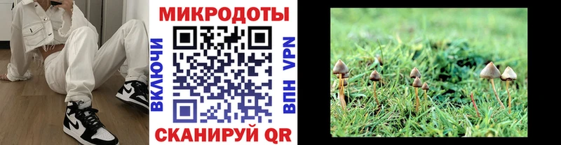 Галлюциногенные грибы MAGIC MUSHROOMS дарнет шоп сайты даркнета как зайти Печора
