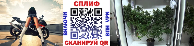 закладка  Печора  блэк спрут сайт  Конопля VHQ 